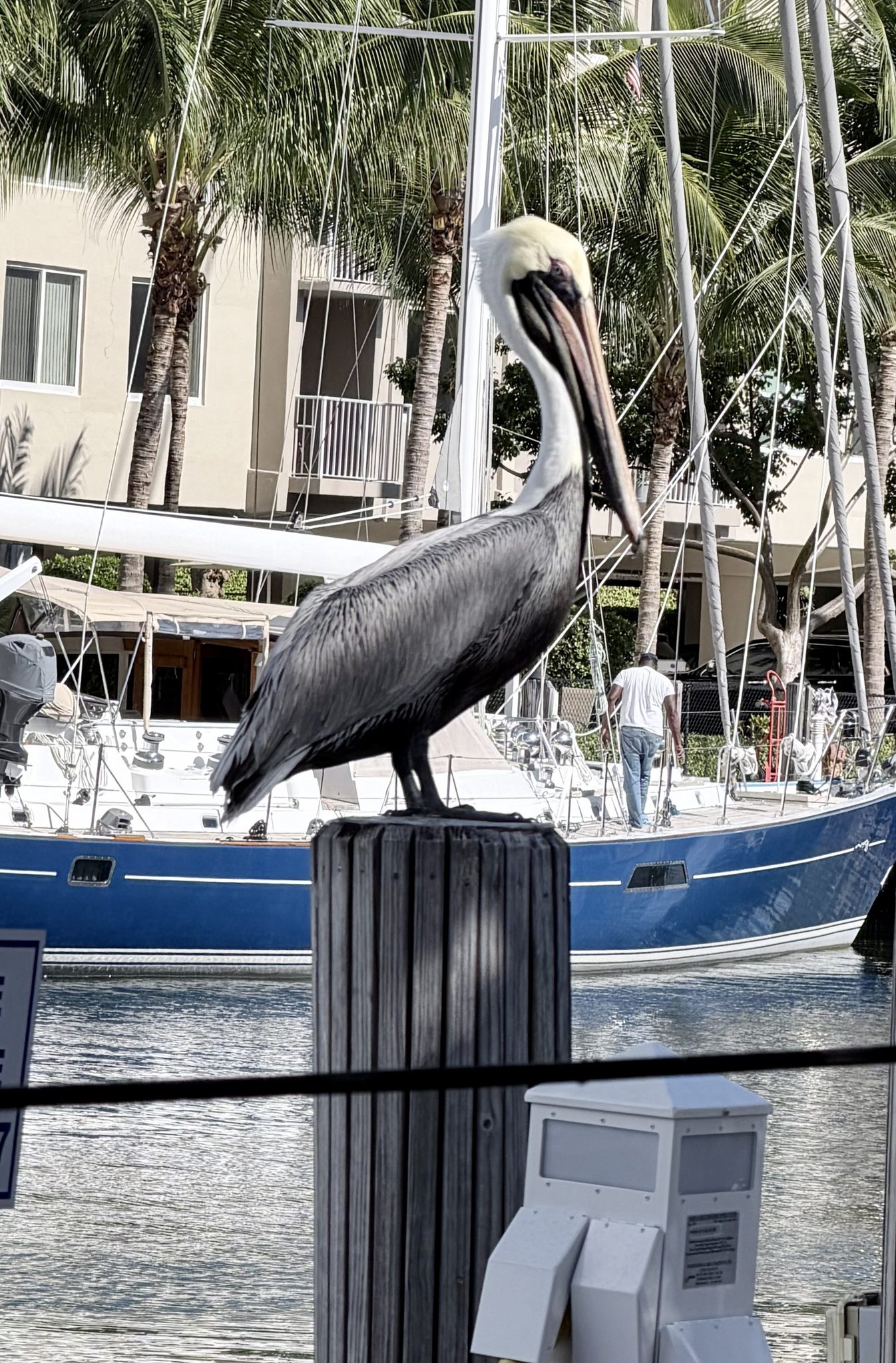 Public reporting transparency